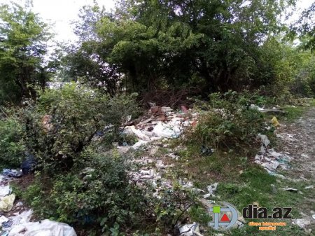 Oğuzun icra başçısı nə işlə məşğuldur? Oğuzun icra başçısı nə işlə məşğuldur?