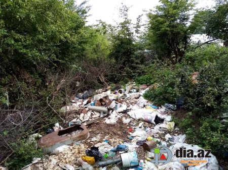 Oğuzun icra başçısı nə işlə məşğuldur? Oğuzun icra başçısı nə işlə məşğuldur?