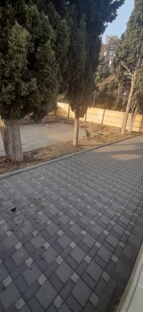 Niyazi Bayramov "Zəfər bulağı" tikmək istəyini niyə basdırdı? Niyazi Bayramov "Zəfər bulağı" tikmək istəyini niyə basdırdı?