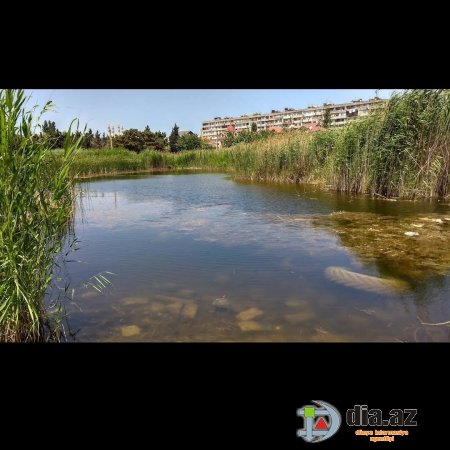 Cənab nazir, buralar niyə XARABA QALIB? Cənab nazir, buralar niyə XARABA QALIB?