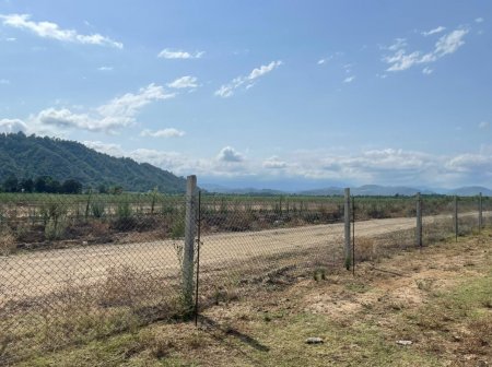 Muxtar Babayevin Haftoni ilə bağlı MÜDHİŞ PLANI... Muxtar Babayevin Haftoni ilə bağlı MÜDHİŞ PLANI...