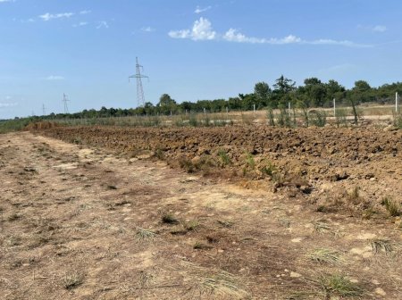 Muxtar Babayevin Haftoni ilə bağlı MÜDHİŞ PLANI... Muxtar Babayevin Haftoni ilə bağlı MÜDHİŞ PLANI...