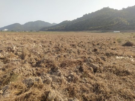 Muxtar Babayevin Haftoni ilə bağlı MÜDHİŞ PLANI... Muxtar Babayevin Haftoni ilə bağlı MÜDHİŞ PLANI...