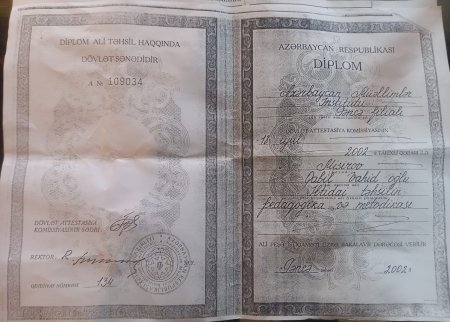 Həbsdəki icra başçısının AT BAXICISI necə müəllim oldu? Həbsdəki icra başçısının AT BAXICISI necə müəllim oldu?