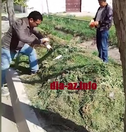 Niyazi Bayramov işçilərə rəsmən OT YOLDURUR Niyazi Bayramov işçilərə rəsmən OT YOLDURUR