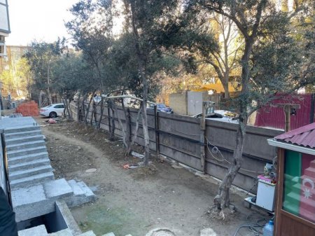 Nərimanovda “Yaşıl dünya ili”nə qarşı cinayət Nərimanovda “Yaşıl dünya ili”nə qarşı cinayət