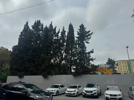 Keçmiş deputatın şirkəti YAŞILLIĞA QƏNİM KƏSİLİB... Keçmiş deputatın şirkəti YAŞILLIĞA QƏNİM KƏSİLİB...
