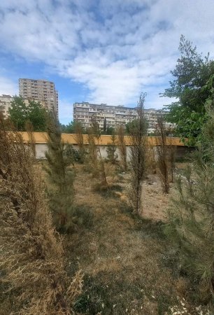 Nizami rayonunda yeni salınmış bağ məhv edilir Nizami rayonunda yeni salınmış bağ məhv edilir