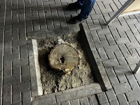 İcra başçısının COP29 söküntüsü... İcra başçısının COP29 söküntüsü...