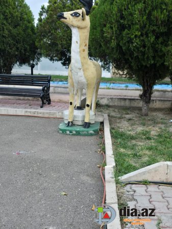 Naxçıvan icra hakimiyyətindən ulu öndərin ruhuna SAYĞISIZLIQ...