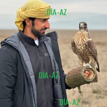 ANA TƏBİƏTİMİZ QURBANDIR BU ƏRƏB OLİQARXA... ANA TƏBİƏTİMİZ QURBANDIR BU ƏRƏB OLİQARXA...