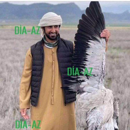 ANA TƏBİƏTİMİZ QURBANDIR BU ƏRƏB OLİQARXA... ANA TƏBİƏTİMİZ QURBANDIR BU ƏRƏB OLİQARXA...