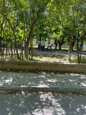 “Elm ocağı hara, çayxana hara?!” “Elm ocağı hara, çayxana hara?!”