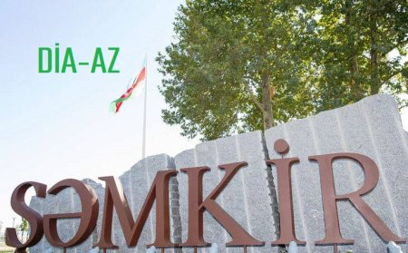 Şəmkirin icra başçısından NAZİRƏ QARŞI SAYĞISIZLIQ...